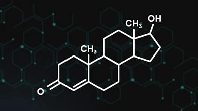 شفرة أوكام: دراسة نقدية لمبدأ البساطة في التفسيرات العلمية 3 upscalemedia transformed شفرة أوكام: دراسة نقدية لمبدأ البساطة في التفسيرات العلمية