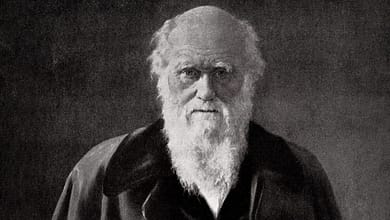 معيار التطوريين في قبول التفسير وترجيح النظرية 13 darwin puff معيار التطوريين في قبول التفسير وترجيح النظرية