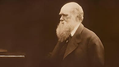 خمس مغالطات عقلية كبرى لا قيام للبارادايم الدارويني إلا عليها 4 charles darwin خمس مغالطات عقلية كبرى لا قيام للبارادايم الدارويني إلا عليها