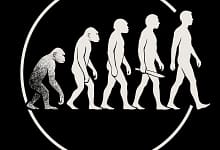 معايير التطوريين في قبول التفسير واختيار النظريات 19 9b3647ed 099a 4a6c a963 54abab6c1ab5 معايير التطوريين في قبول التفسير واختيار النظريات