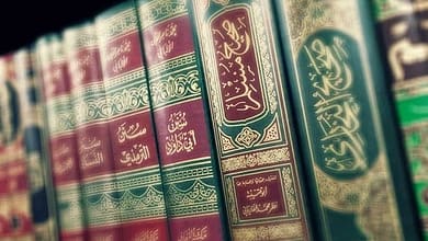 السنة لا تصلح أن تكون مجرد اعتقاد! 6 image السنة لا تصلح أن تكون مجرد اعتقاد!