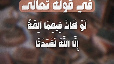 في قوله تعالى: (لَوْ كَانَ فِيهِمَا آلِهَةٌ إِلَّا اللَّهُ لَفَسَدَتَا) 10 407480046 1016054659437246 7350355361581496333 n في قوله تعالى: (لَوْ كَانَ فِيهِمَا آلِهَةٌ إِلَّا اللَّهُ لَفَسَدَتَا)