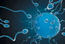 sa0625Adva08 الدرر الغرائب في دفع شبهة الصلب والترائب