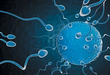 sa0625Adva08 الدرر الغرائب في دفع شبهة الصلب والترائب