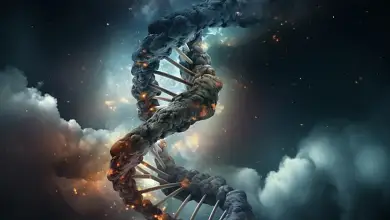 media 20260209 193442 6a6598ca6a40d387 scaled قابلية الرصد بين الحسّ المباشر والحمولة النظرية