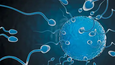 sa0625Adva08 الدرر الغرائب في دفع شبهة الصلب والترائب