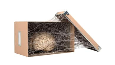 concept abandoned mind degradation brain cardboard box covered cobwebs d render white no shadow 175531773 مغالطة التشييء (أكبر مغالطة فلسفية في التاريخ) - الجزء الأول
