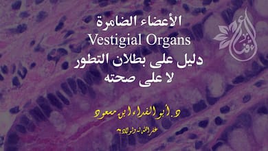 230535225 3073792489568093 878654248924974712 n الأعضاء الضامرة دليل على بطلان التطور وليس على صحته!